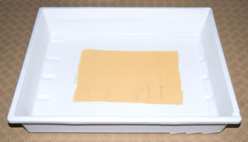 platinum-palladium printing-wet workspace